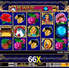 66X bet